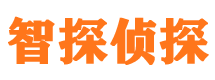 岳池市侦探